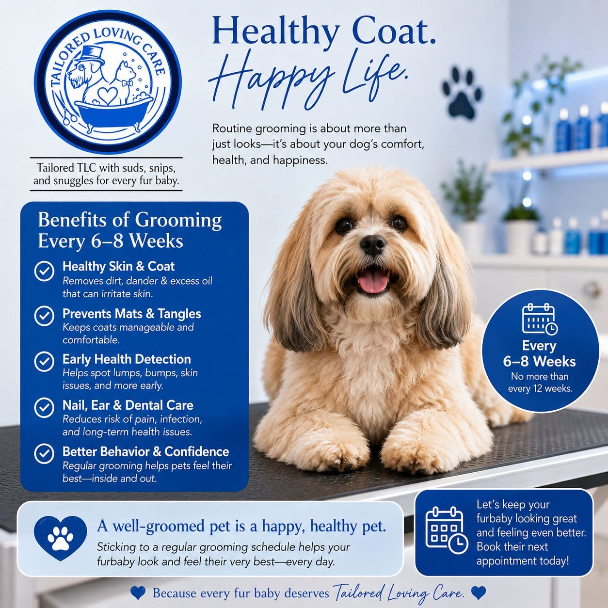Tailored Loving Care grooming education and care